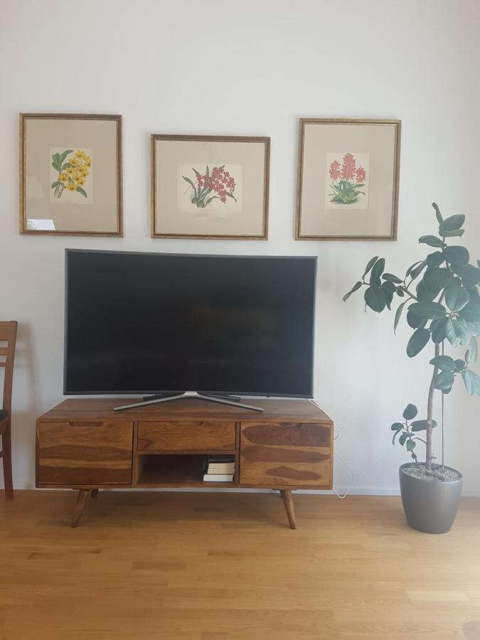 Appartement Traumhafte Neue Dachterrassenwohnung Am Soyener *