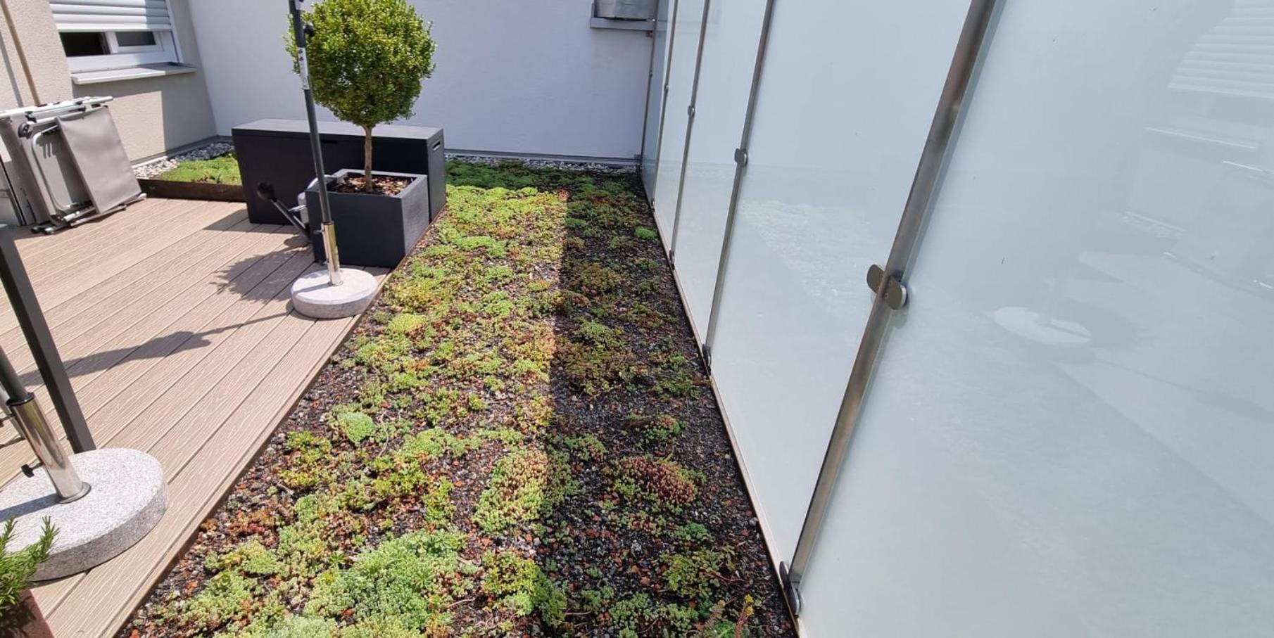 Traumhafte Neue Dachterrassenwohnung Am Soyener Soyen